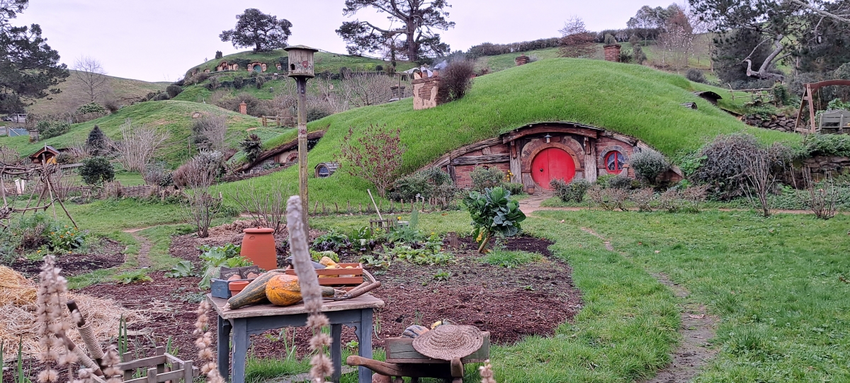 Trường quay Hobbiton, một điểm đến yêu thích của khách du lịch khi đến New Zealand. ảnh: Việt Nga/VOV