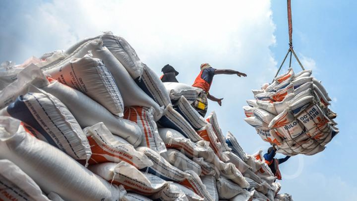 Dự trữ gạo của Indonesia với dự báo sản lượng đạt 35,6 triệu tấn, vượt xa mục tiêu quốc gia là 32 triệu tấn. - Nguồn Tempo