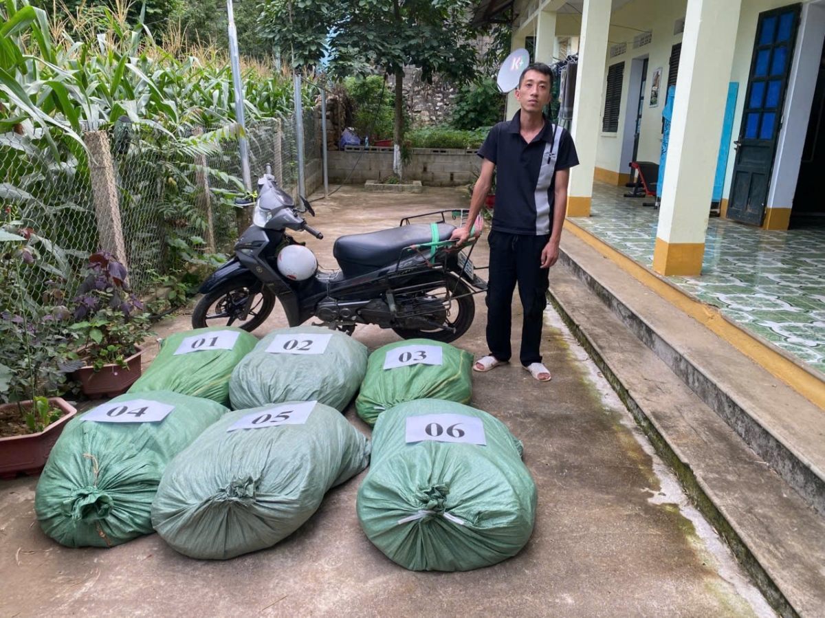 Đối tượng Nông Văn Thanh bị lực lượng Biên phòng Ngọc Chung tạm giữ.
