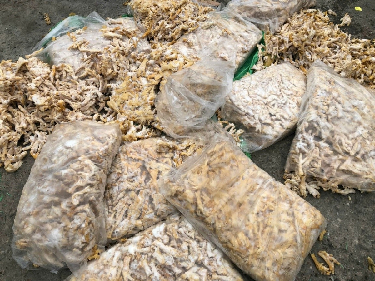 Cơ sở tại TP Móng Cái cất giấu khoảng 1.000 kg chân gà và 280 kg trứng gà non không được bảo quản lạnh, không đảm bảo chất lượng về an toàn thực phẩm
(Ảnh:Nguồn Công an tỉnh Quảng Ninh)