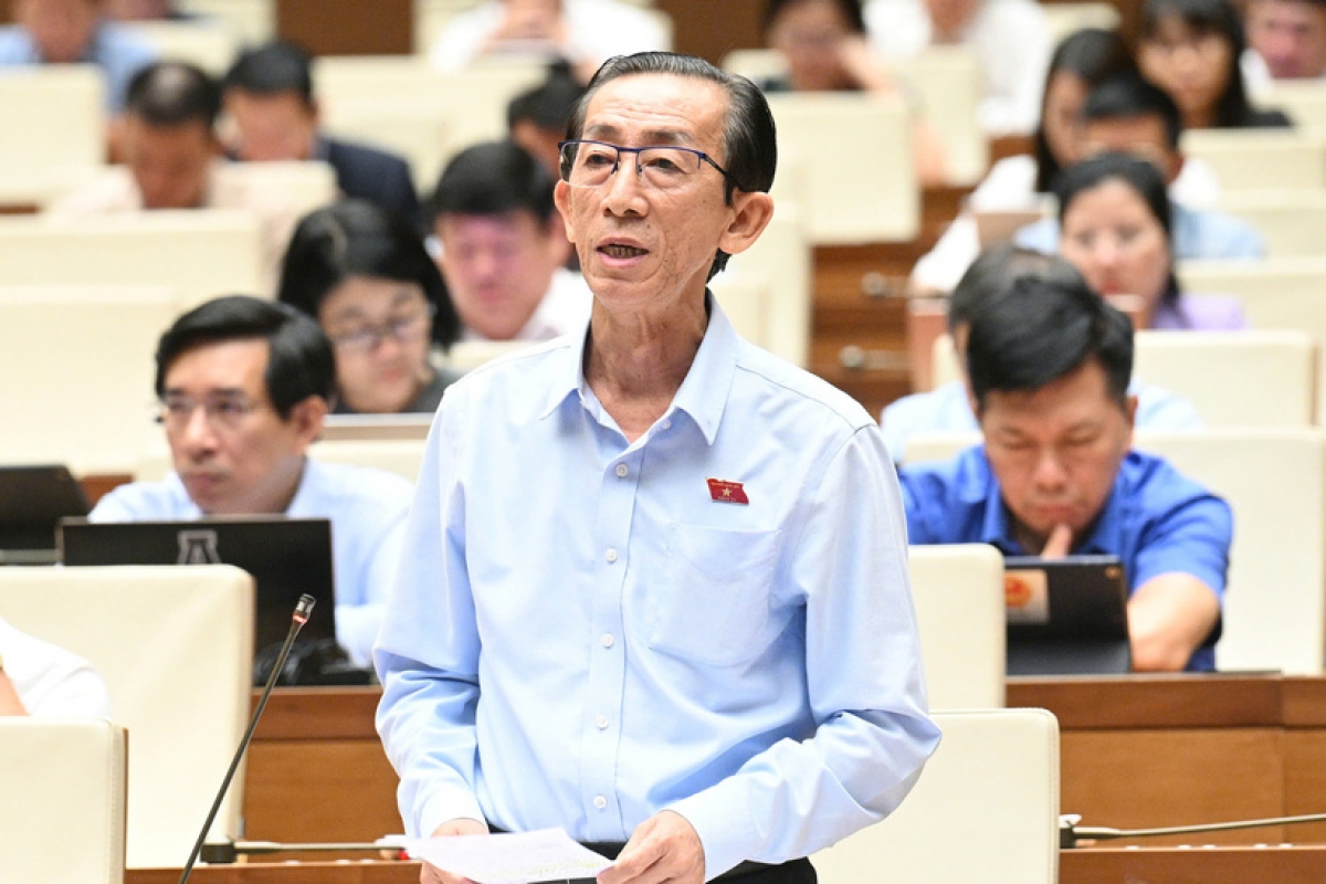 Đại biểu Trần Hoàng Ngân, đoàn TP Hồ Chí Minh