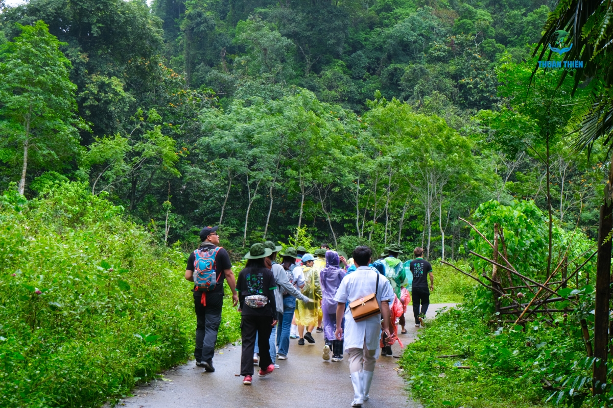 Trại hè Nature Experience Summer Camp 2025 Thuận Thiên Naturalis đã chính thức khởi động