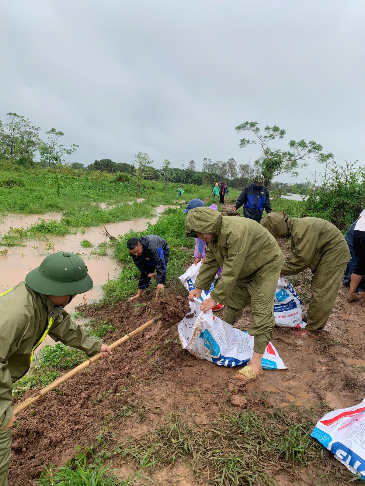 Ngành chức năng và người dân Hải Dương gia cố đê trong mùa mưa lũ