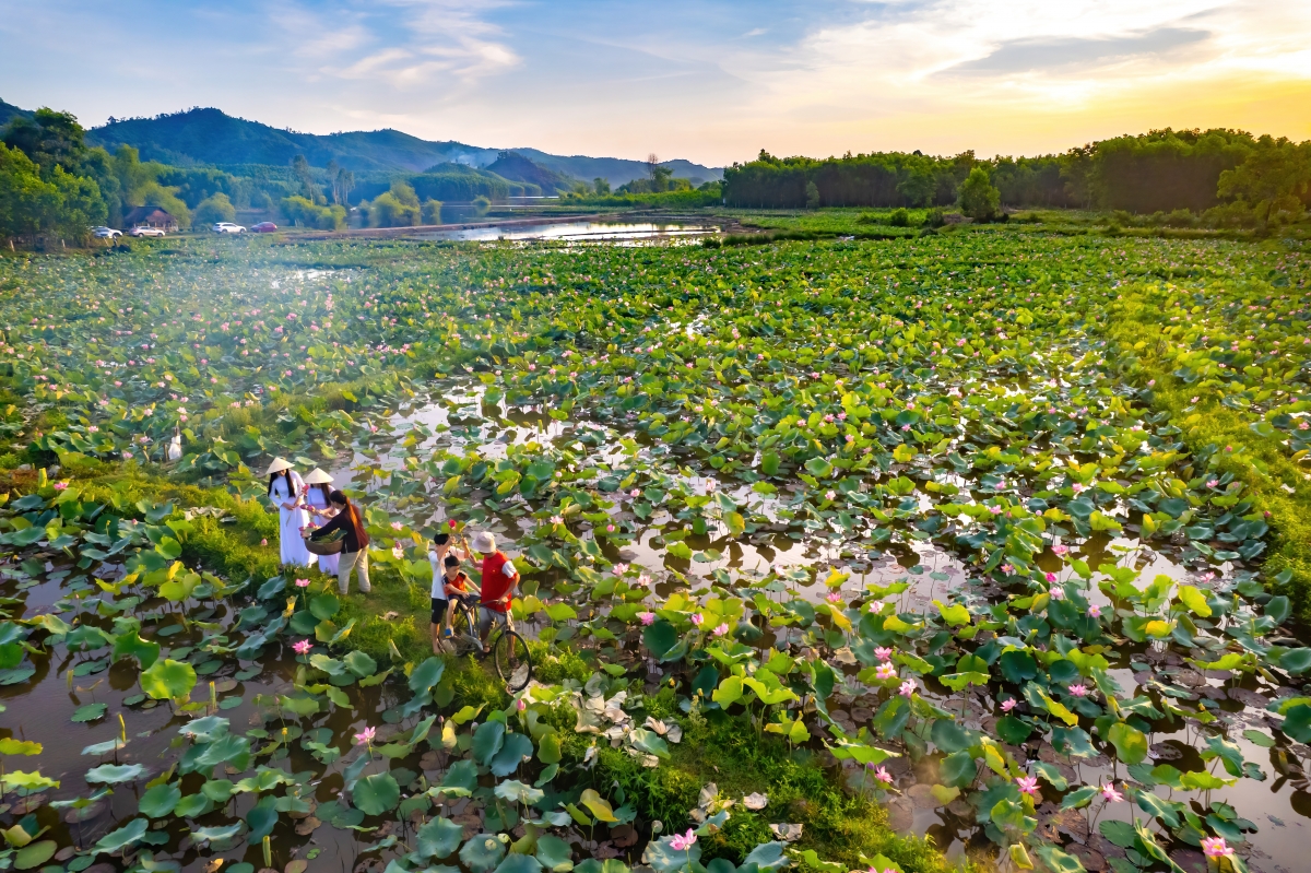 Du khách đến tham quan chụp hình ở đầm sen không mất phí. Tuy nhiên, du khách không được tự ý bẻ hoa ngắt cành.