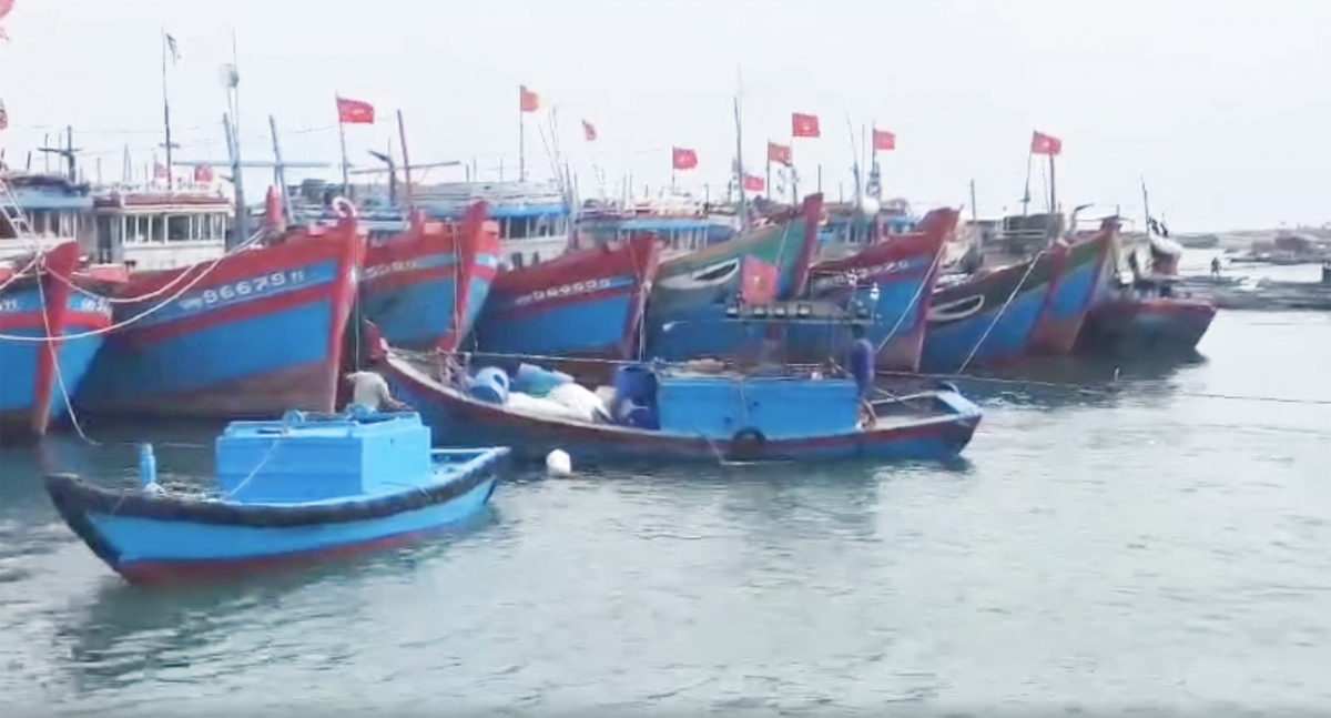 Tàu cá neo đậu trong âu thuyền ở Lý Sơn
