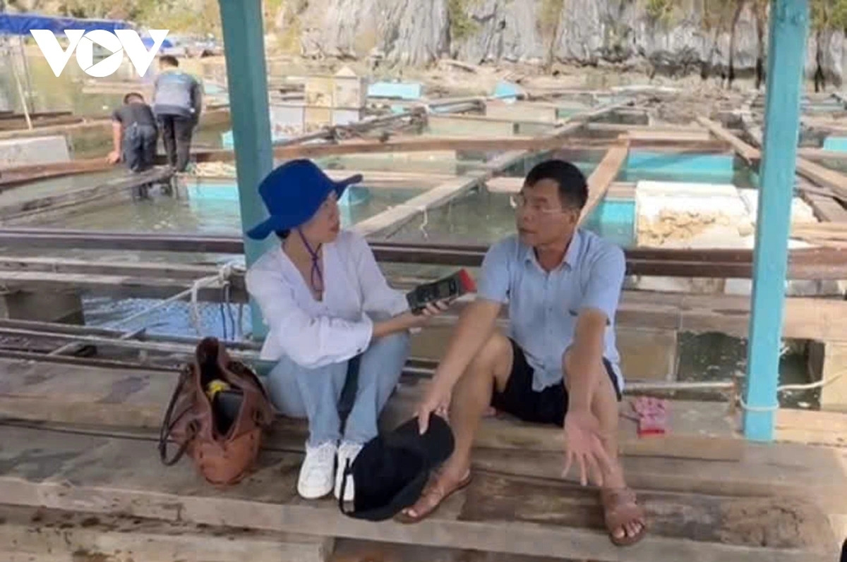Phóng viên Hương Giang phỏng vấn ngư dân chịu thiệt hại do bão Yagi tại Vân Đồn, Quảng Ninh