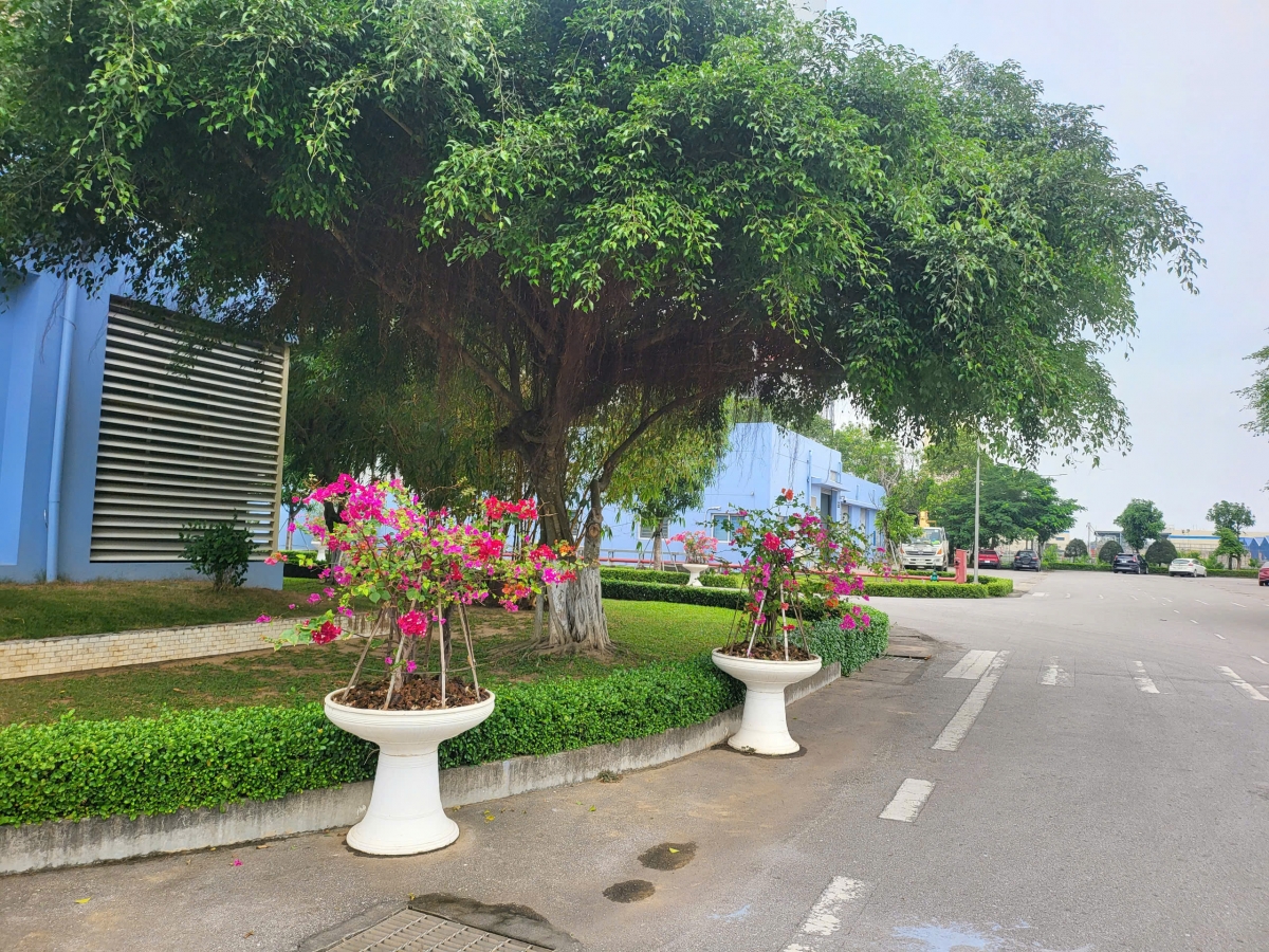 Một góc khuôn viên Nhà máy Nhiệt điện Nghi Sơn-1 (tỉnh Thanh Hóa)
