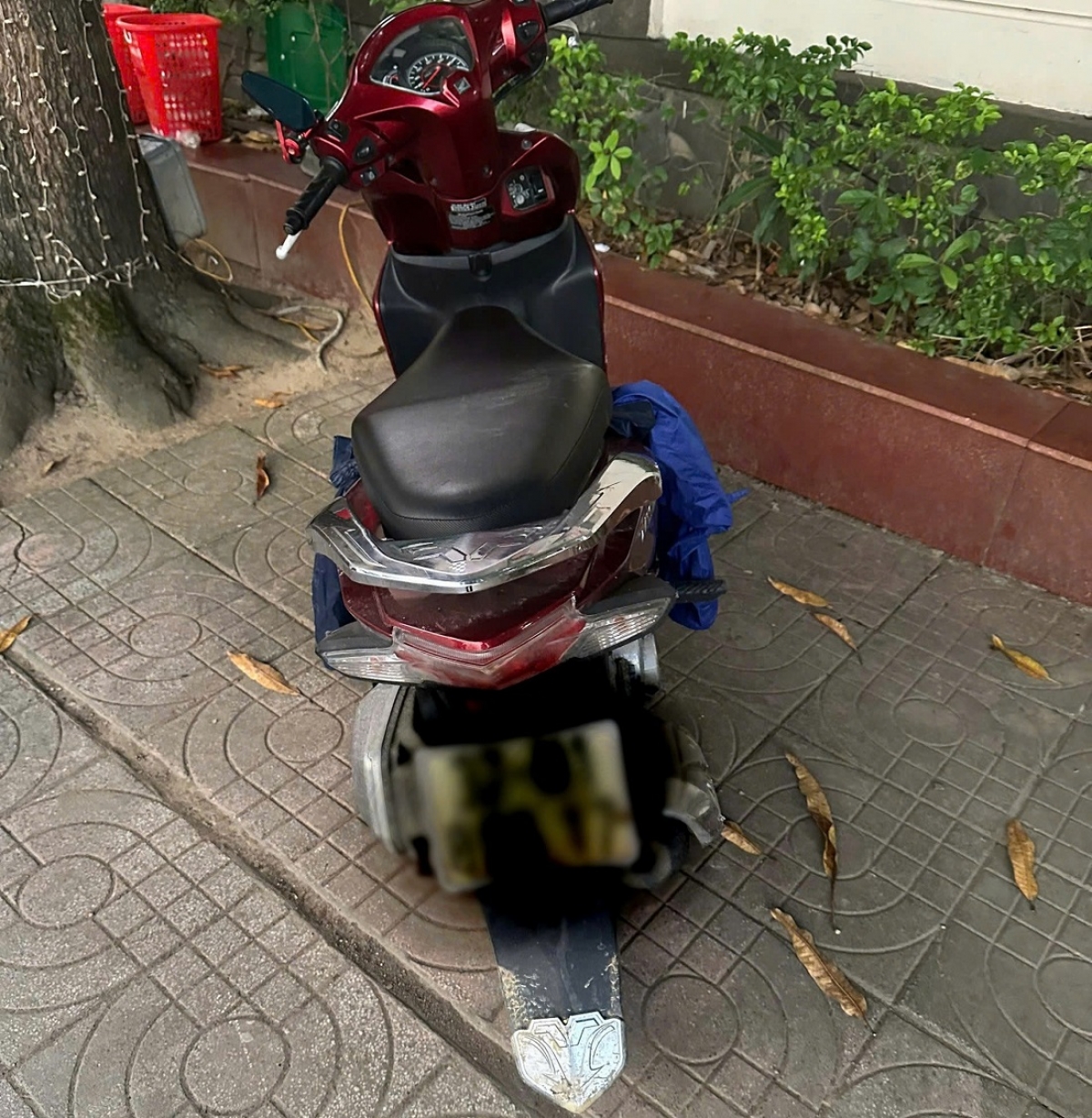 Tang vật vụ án thu giữ