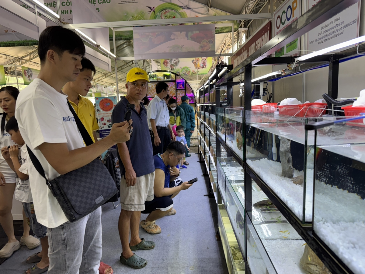 Tuần lễ được kỳ vọng sẽ gắn kết giữa “4 nhà” để xây dựng, phát triển chuỗi giá trị nông nghiệp bền vững.