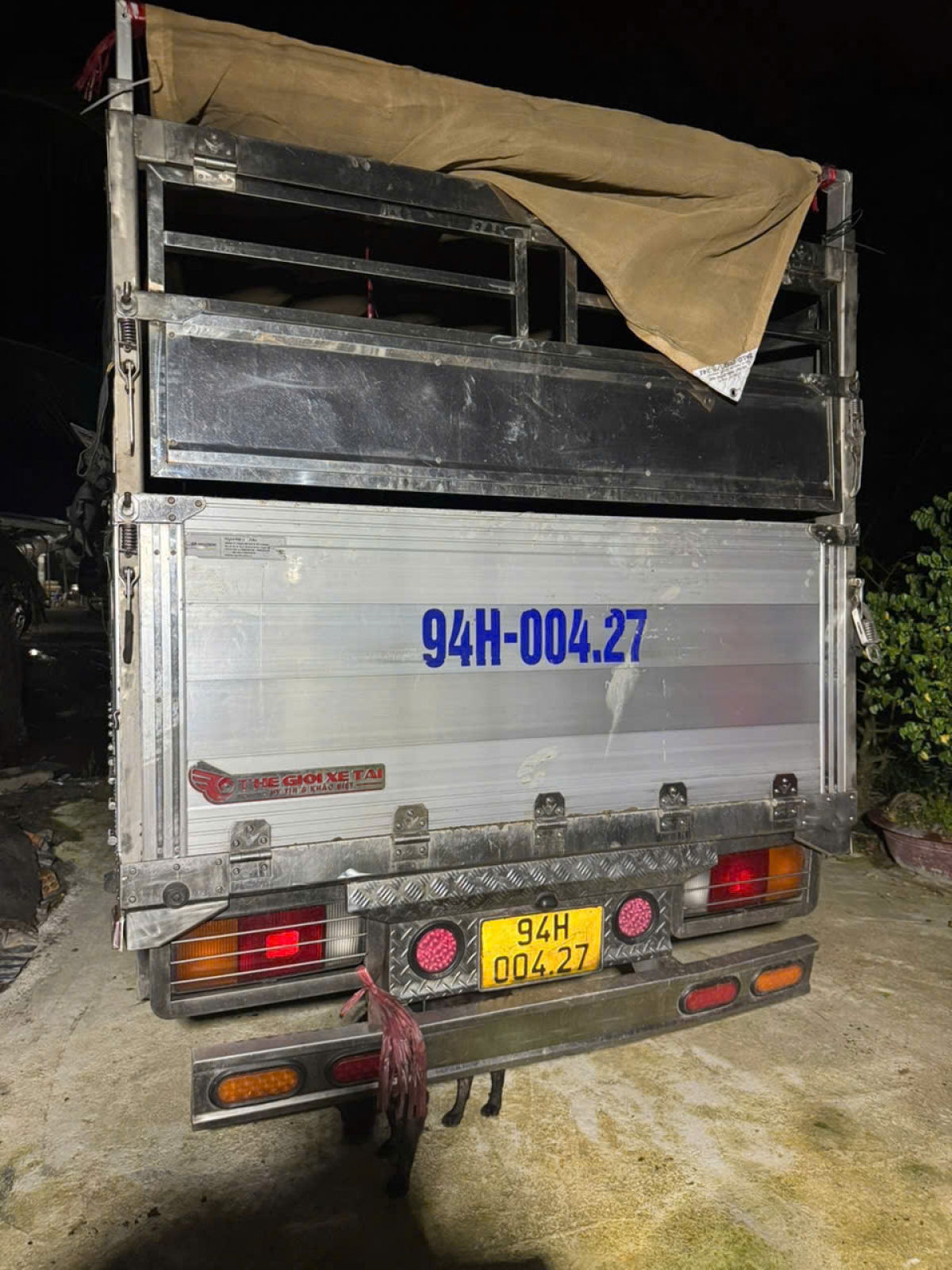 Xe vận chuyển 120 con heo không có giấy chứng nhận kiểm dịch