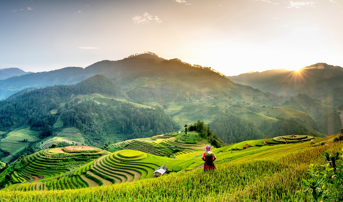Mùa vàng Mù Cang Chải. (Ảnh: Cục Du lịch Quốc gia Việt Nam).