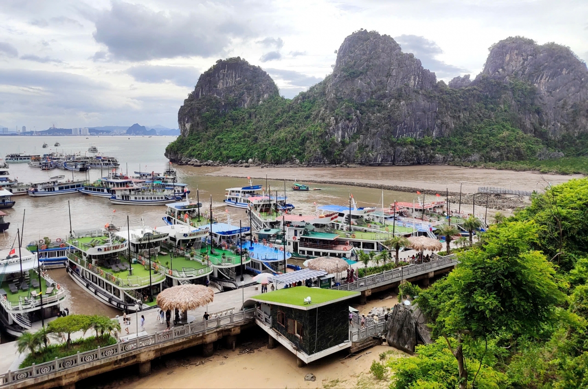 Nửa đầu năm 2025, tỉnh Quảng Ninh đón hơn 12 triệu lượt du khách (đạt 60% kế hoạch năm)
