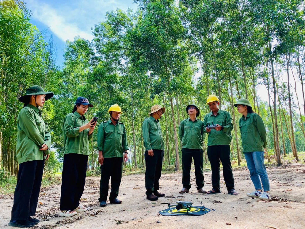Sử dụng drone quản lý rừng tại tỉnh Gia Lai (Bình Định cũ). Ảnh: GIZ