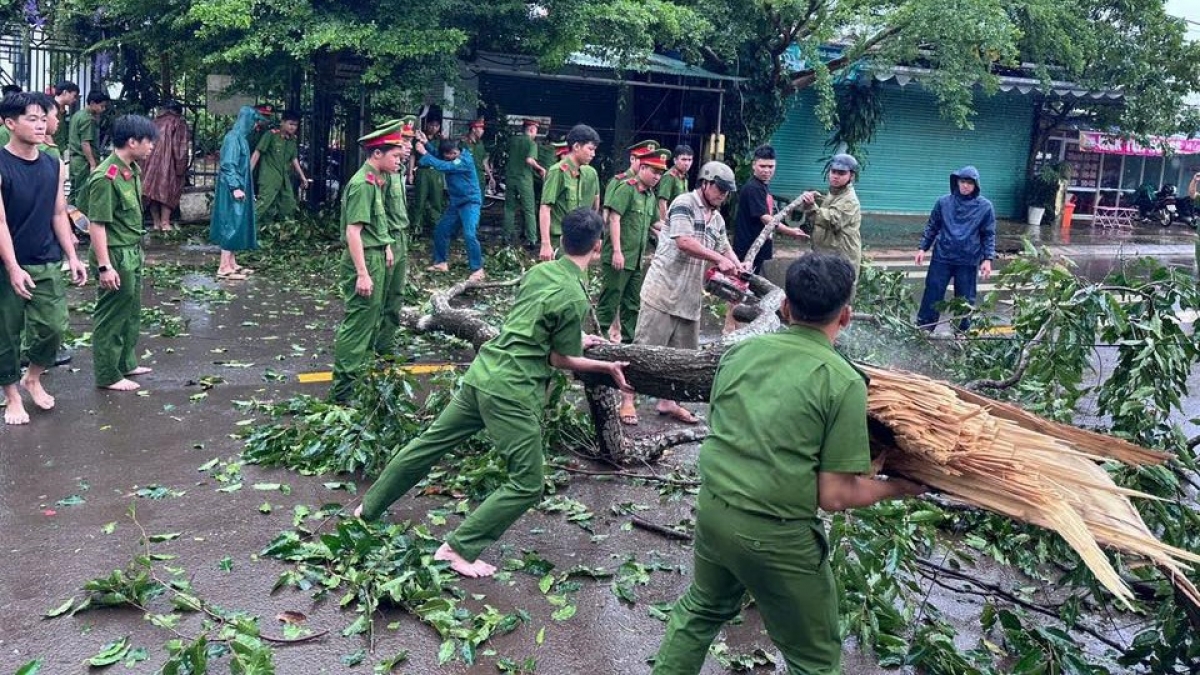 Cây xanh ngã đổ ảnh hưởng tới giao thông (Ảnh: CTV)