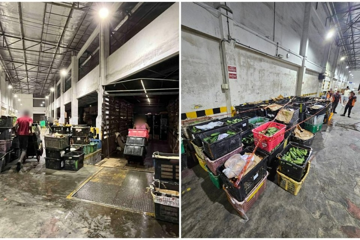 3 tấn rau quả tươi bị cơ quan chức năng Singapore thu giữ_