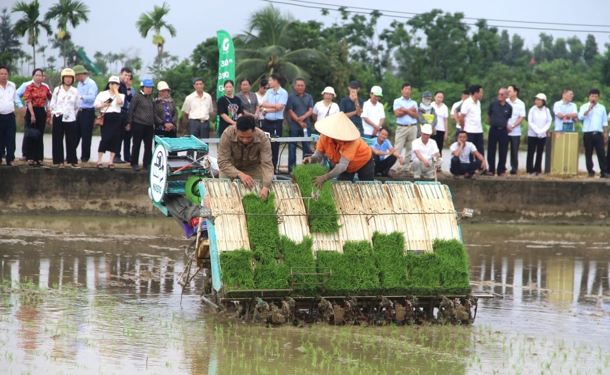Các đại biểu xem trình diễn sử dụng thiết bị thông minh dẫn đường chính xác được lắp trên vô lăng máy cấy. Ảnh: báo Nông nghiệp Môi trường.