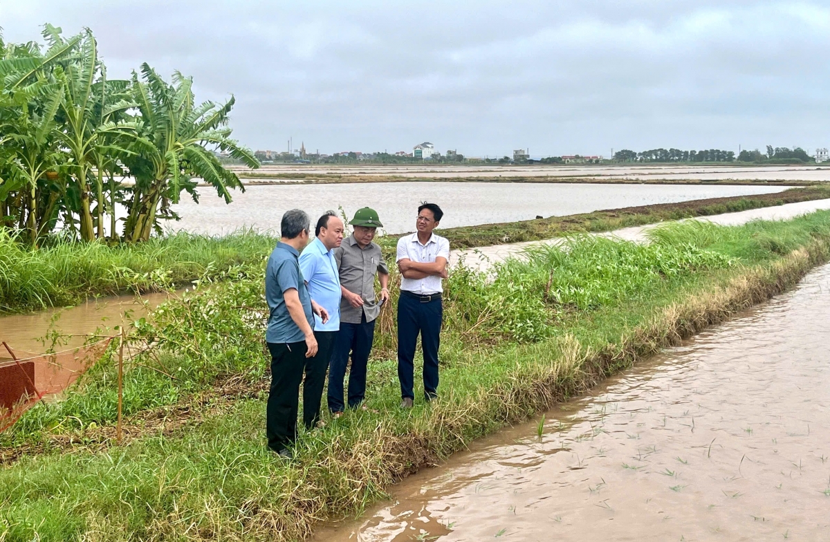 Đoàn công tác của Cục Quản lý và xây dựng công trình thủy lợi kiểm tra tình trạng ngập úng tại xã Nghĩa Hưng, tỉnh Ninh Bình
