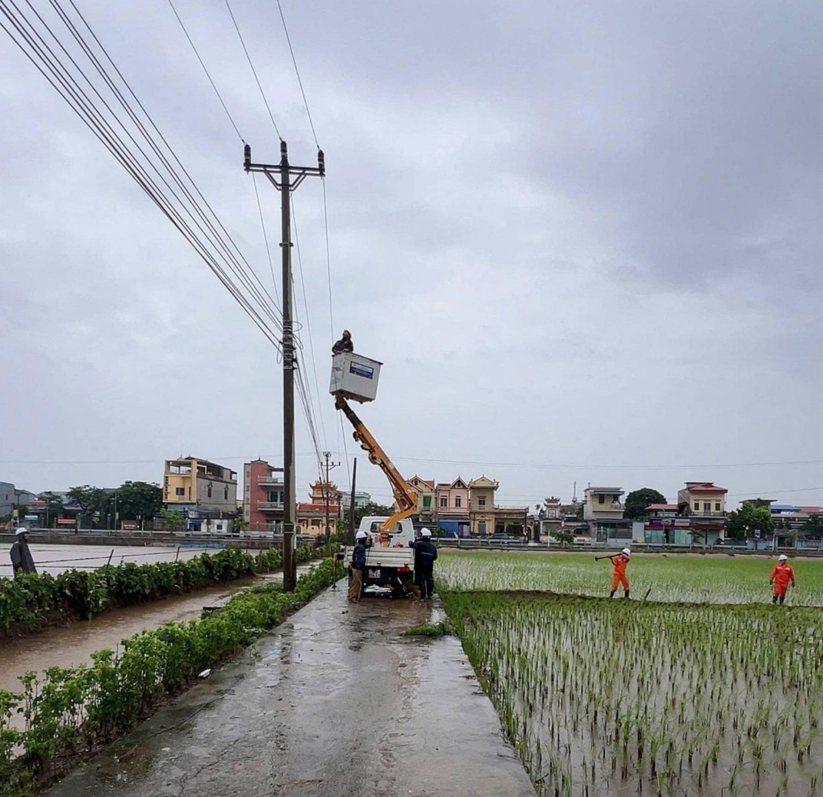 Đội quản lý điện khu vực Nam Trực – Công ty Điện lực Ninh Bình đã khẩn trương triển khai công tác chằng chống nhà cửa, kho tàng và gia cố tại các vị trí cột điện.