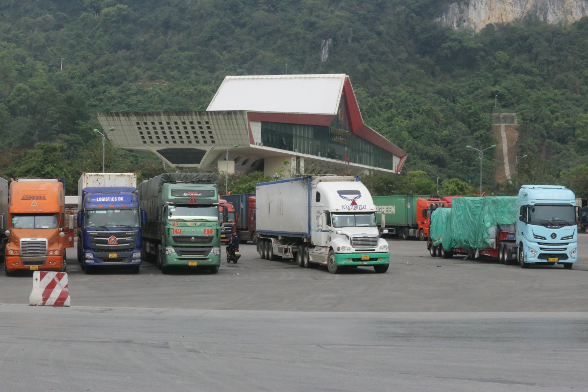 6 tháng đầu năm 2025, tổng kim ngạch XNK hàng hóa qua địa bàn tỉnh Lạng Sơn đạt hơn 41,7 tỷ USD, tăng 39,22% so với cùng kỳ năm 2024