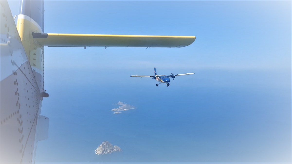 Máy bay DHC-6 bay trinh sát, tuần thám biển