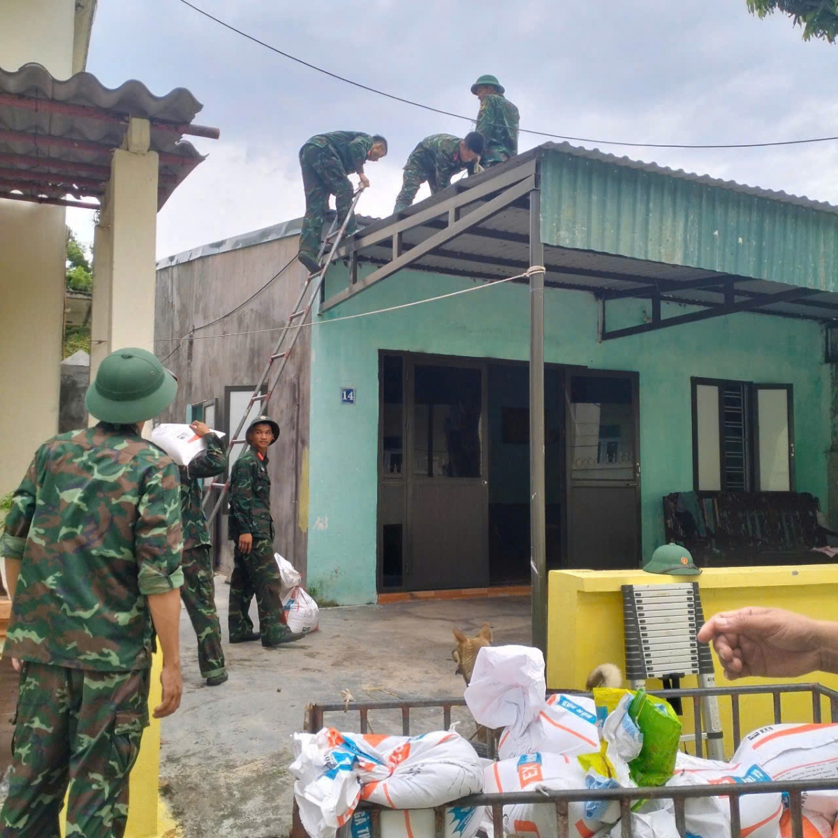 Đồn Biên phòng Cô Tô giúp người dân trên địa bàn đặc khu Cô Tô gia cố nhà cửa