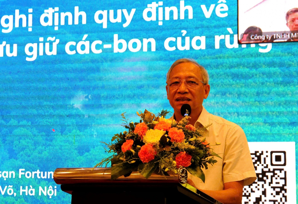 Ông Hứa Đức Nhị làm rõ quyền lợi chủ rừng về dịch vụ hấp thụ và lưu giữ các-bon của rừng