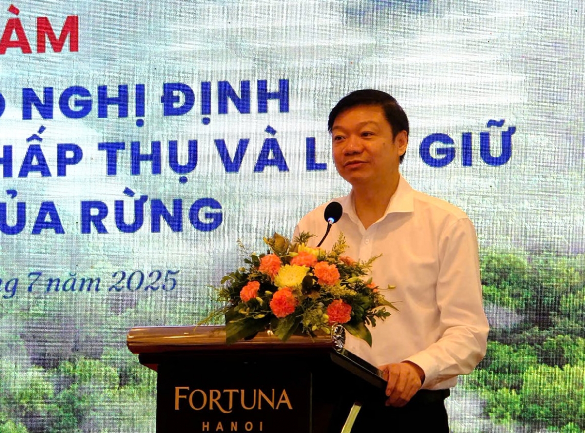 Ông Trần Quang Bảo đảm bảo lợi ích của các chủ rừng khi được giao rừng
