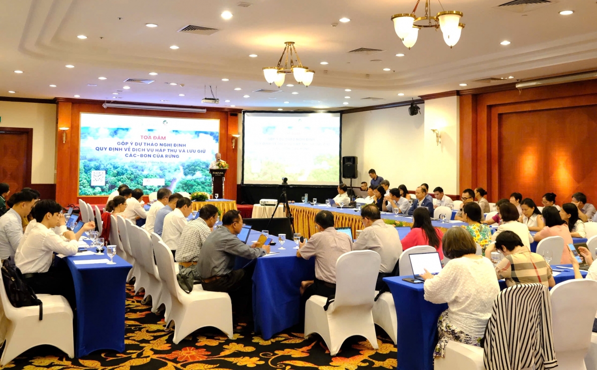 Tọa đàm góp ý Dự thảo Nghị định quy định về dịch vụ hấp thụ và lưu giữ các-bon của rừng