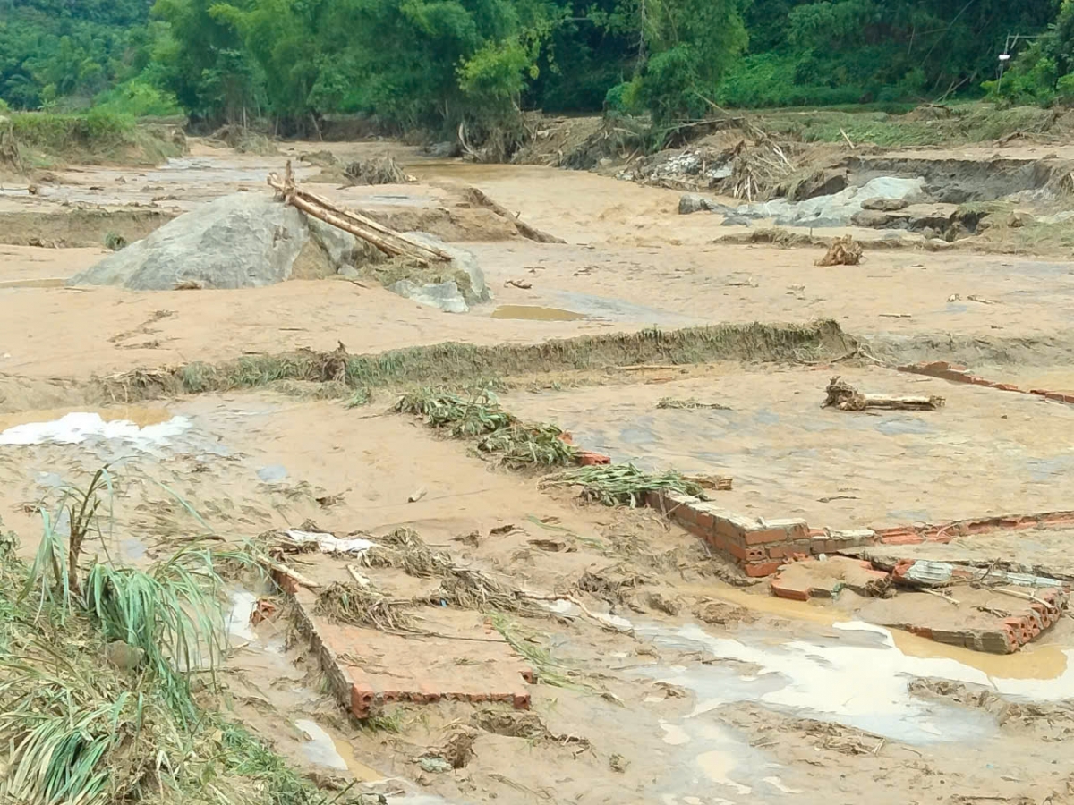 Toàn xã có khoảng 70 ha lúa bị vùi lấp.