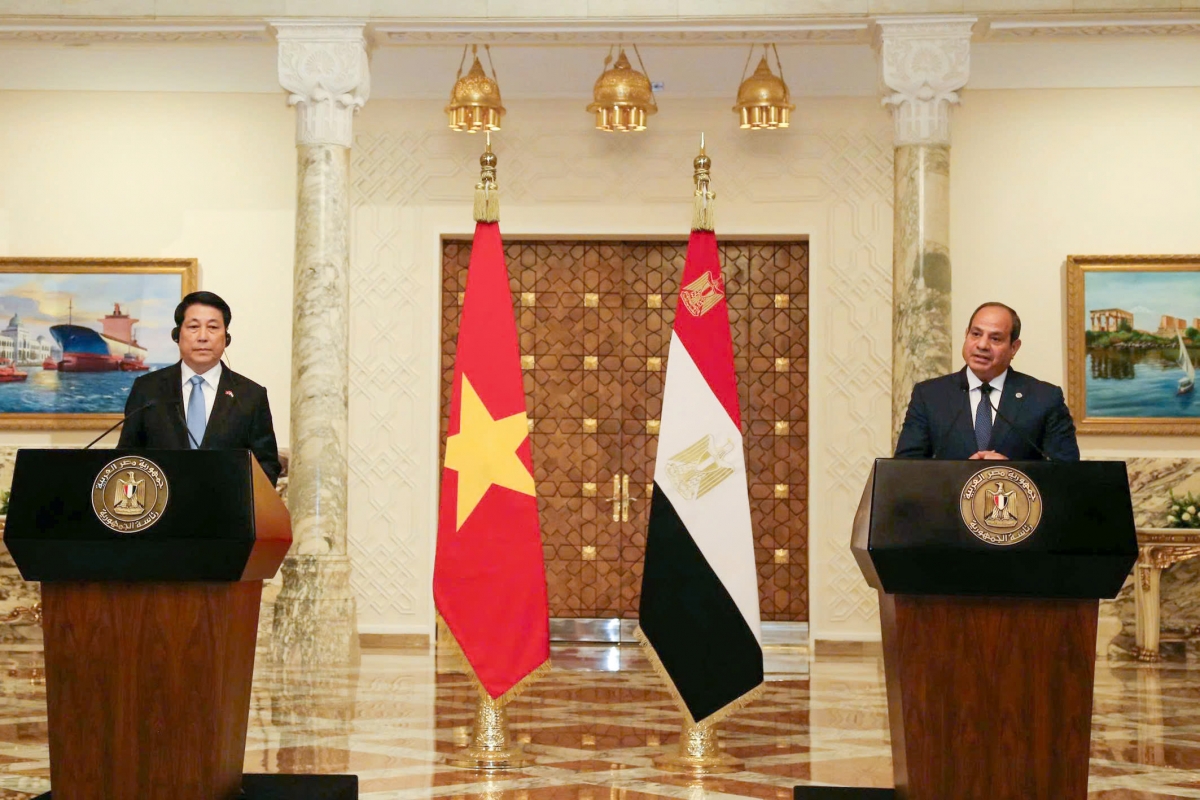 Tổng thống Abdel Fattah Al-Sisi và Chủ tịch nước Lương Cường