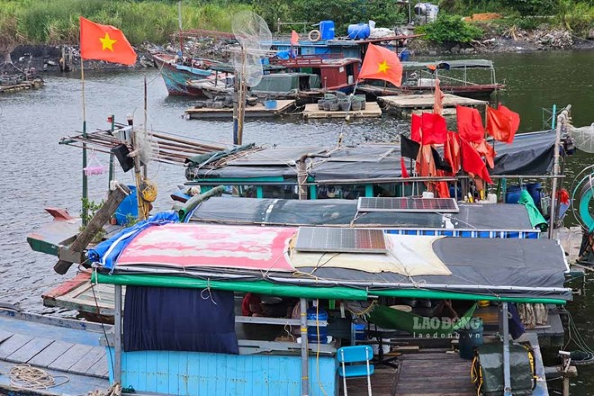 Quảng Ninh tạm ngừng cấp phép tàu ra khơi từ 13h ngày 18/8 do ảnh hưởng áp thấp nhiệt đới. Ảnh: Đoàn Hưng