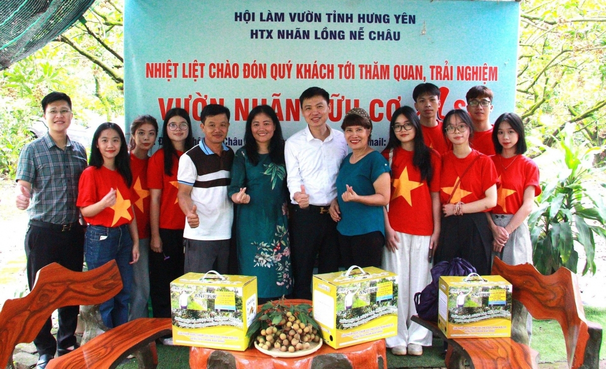 Các đơn vị tham gia vào chuỗi liên kết tiêu thụ nhãn lồng năm 2025 ở thôn Nễ Châu, xã Tân Hưng, Hưng Yên