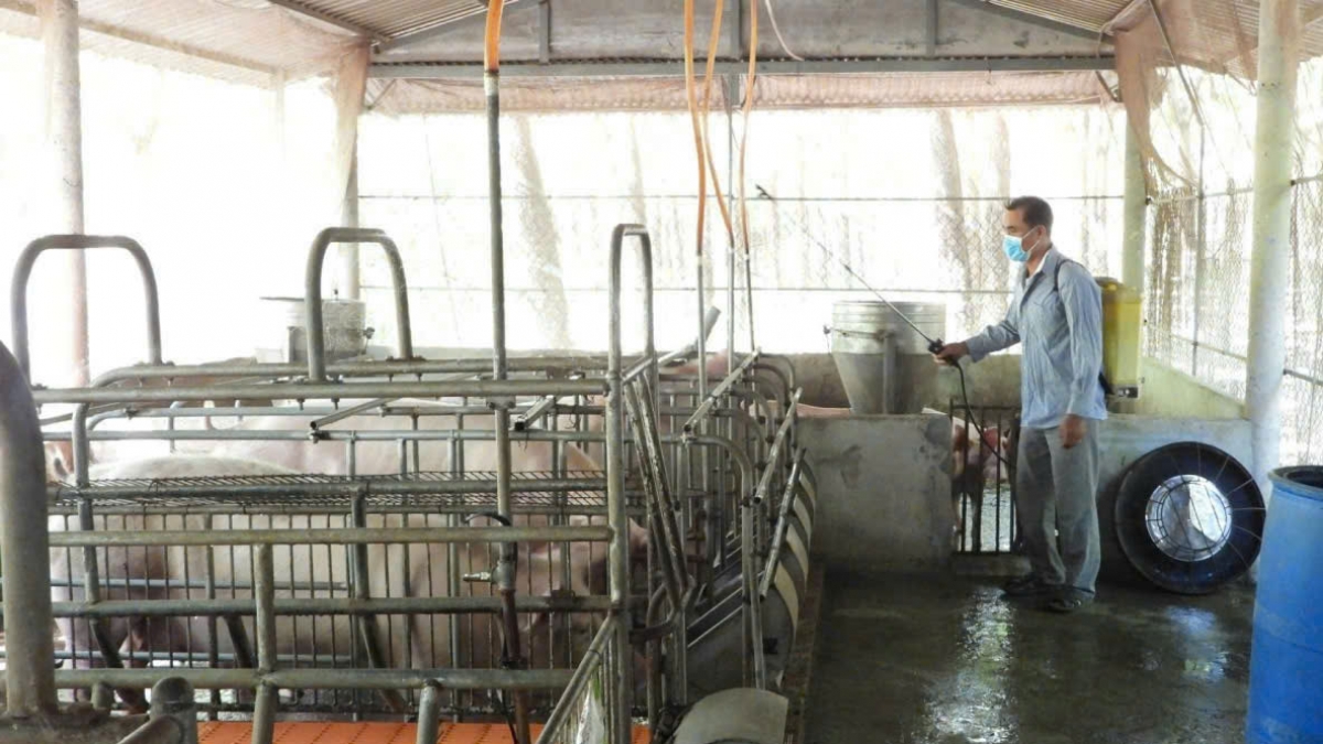 Các gia đình, trang trạng phun xịt khử khuẩn.