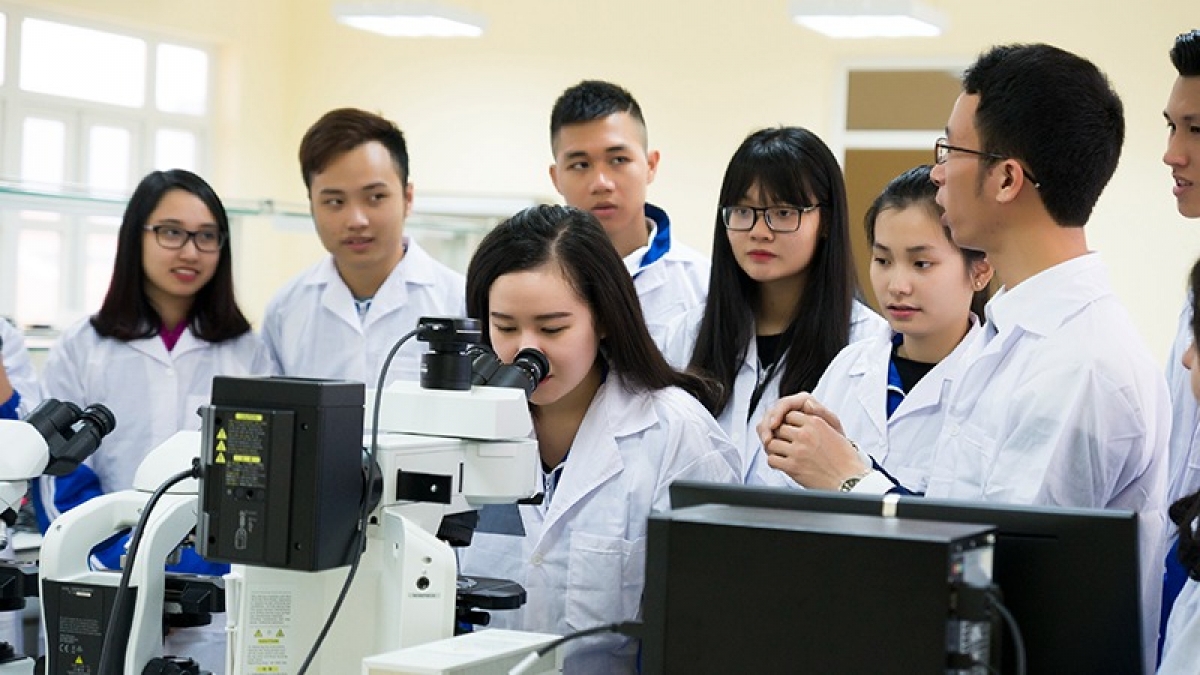 Hoạt động nghiên cứu khoa học tại Trường Đại học Hạ Long.