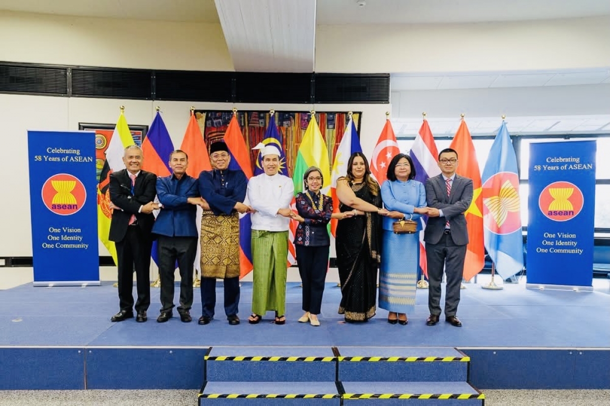 Các Đại sứ ASEAN tại Lễ kỷ niệm