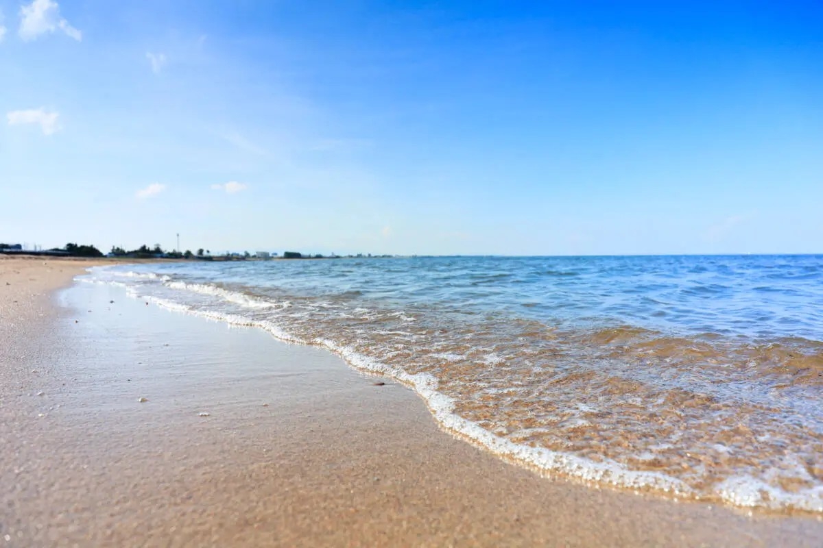 Bãi biển nơi xảy ra sự cố (Ảnh Hiệp hội du lịch thành phố Tsu)