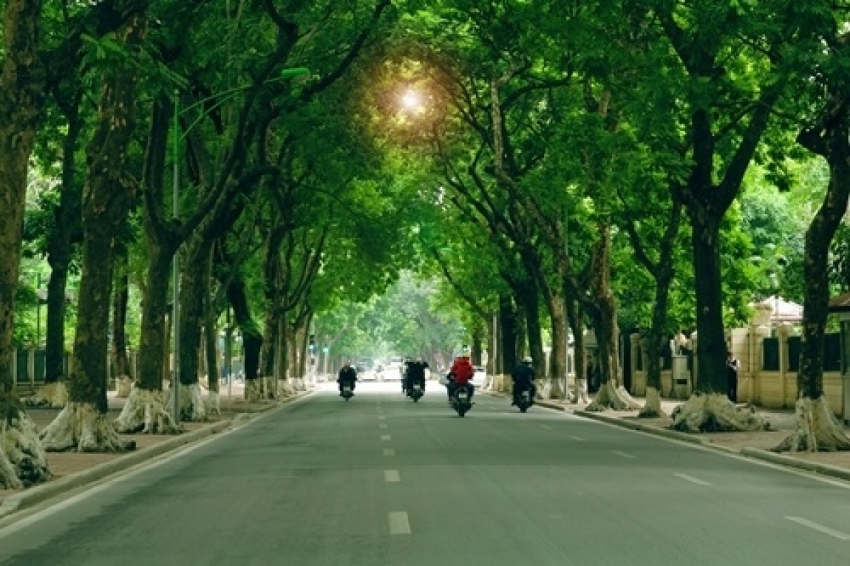 Những tuyến phố Hà Nội luộn xanh, sạch, đẹp