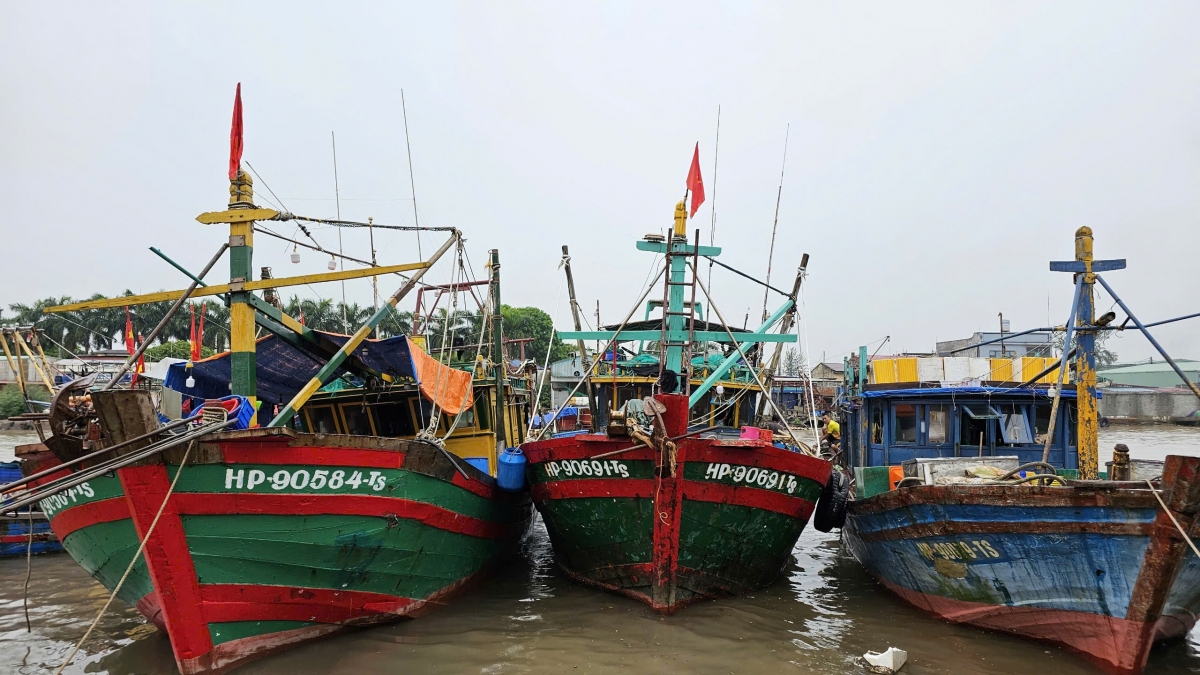 hai_phong_cam_bien_2025082414092.jpg