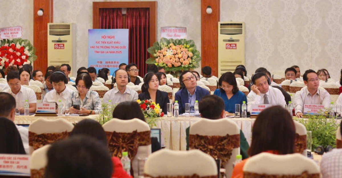 Hàng trăm doanh nghiệp tỉnh Gia Lai và tỉnh Quảng Tây- Trung Quốc tham dự hội nghị. (Ảnh: Nguyễn Thảo)