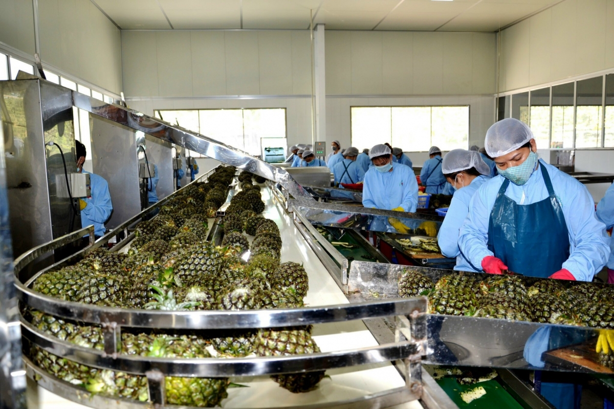 Doanh nghiệp Việt Nam cần tạo ra những giá trị và sức mạnh mới trong giai đoạn sắp tới