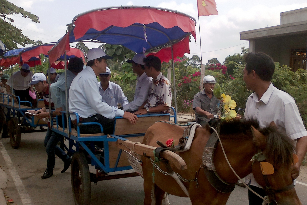Độc đáo xe ngựa du lịch Vĩnh Long