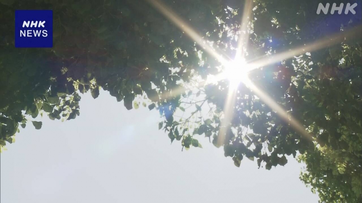 Nắng nóng kỷ lục tại Nhật Bản ảnh hưởng nghiêm trọng đến sức khỏe và sinh hoạt của người dân - Ảnh: NHK