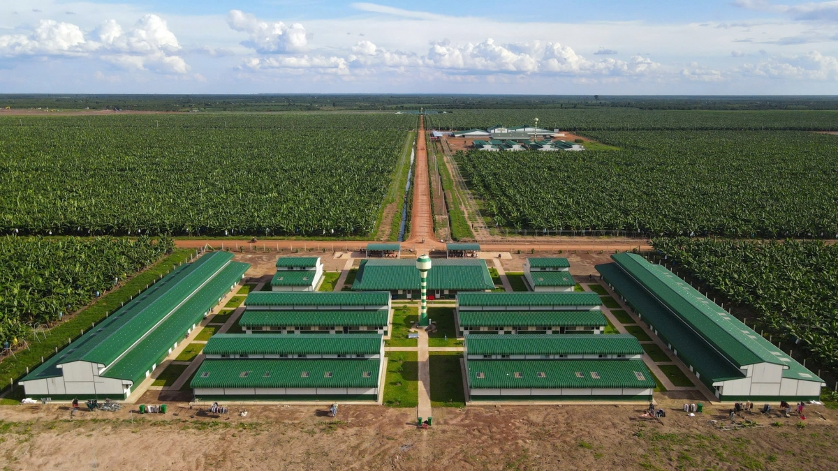 Công ty Cổ phần Nông nghiệp Trường Hải (THACO AGRI) Campuchia