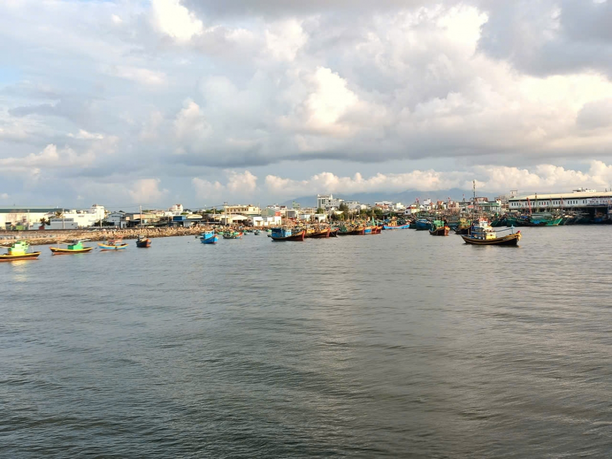 Tàu cá đang neo đậu tại cảng cá Phan Thiết