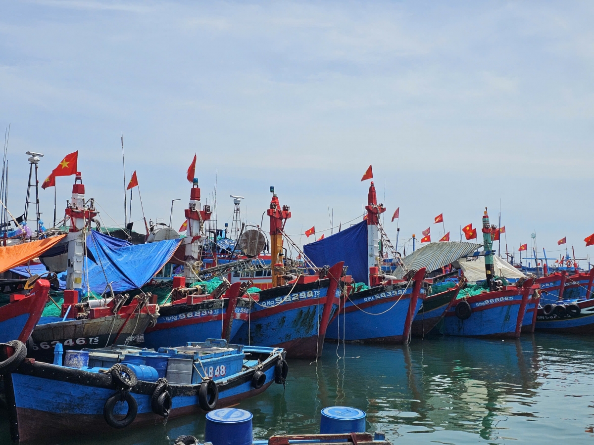 Tàu cá ngư dân đặc khu Lý Sơn, tỉnh Quảng Ngãi neo đậu tránh thời tiết xấu