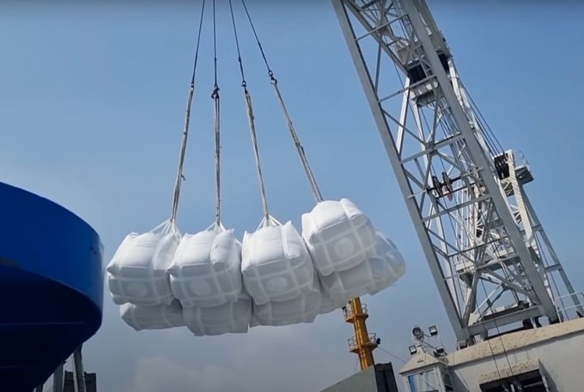 Kim ngạch xuất khẩu gạo đang trên đà khởi sắc