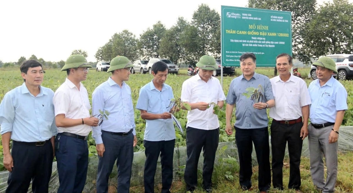 Đại diện Trung tâm Khuyến nông quốc gia, chính quyền địa phương và người dân tại xã Đức Minh, Hà Tĩnh trao đổi về giống đậu xanh 12ĐX02