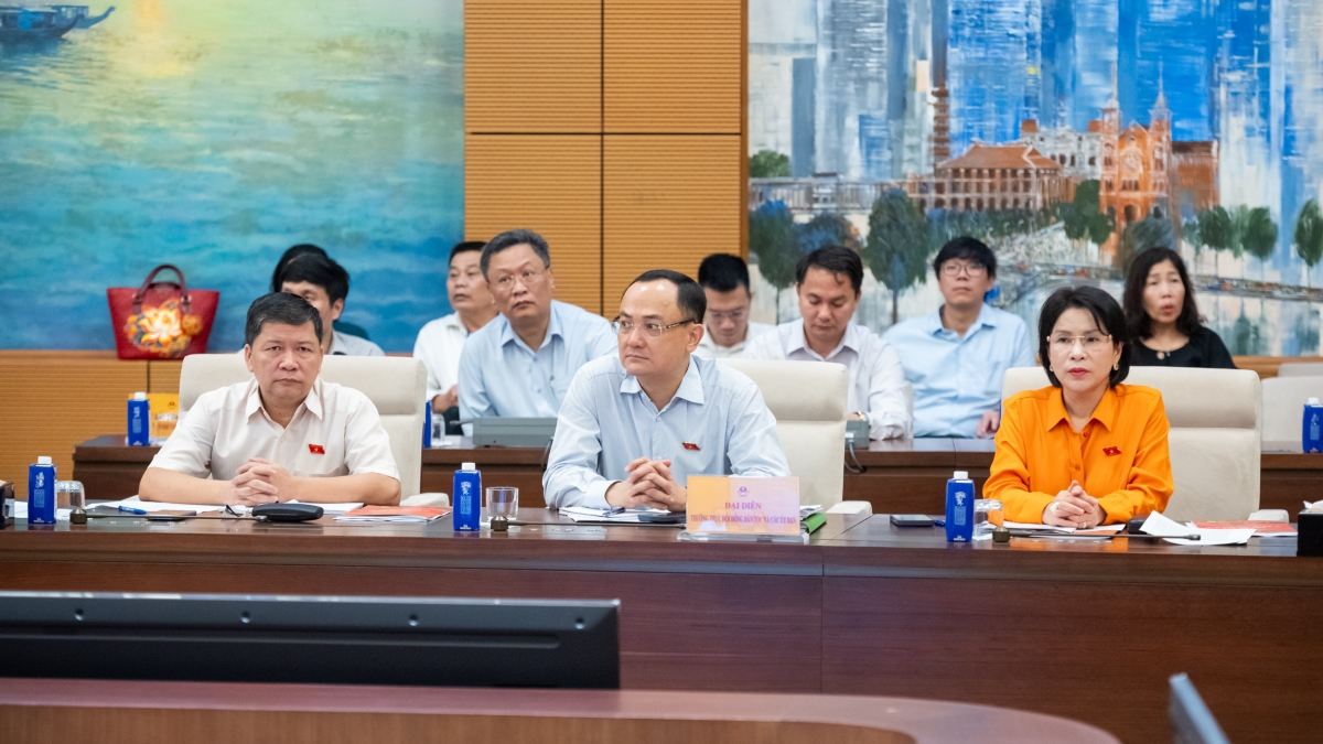 Các đại biểu tham dự phiên giải trình