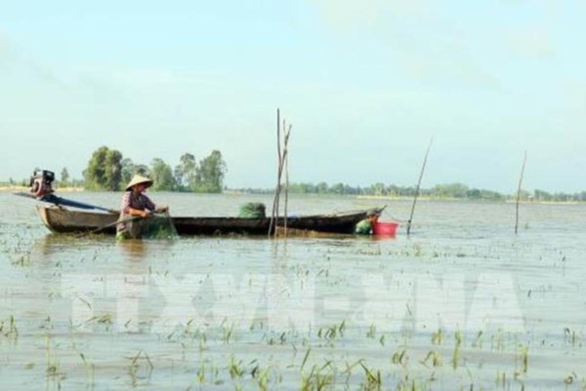Dự báo thời gian xuất hiện đỉnh lũ từ cuối tháng 9 đến đầu tháng 10 - Ảnh TTXVN