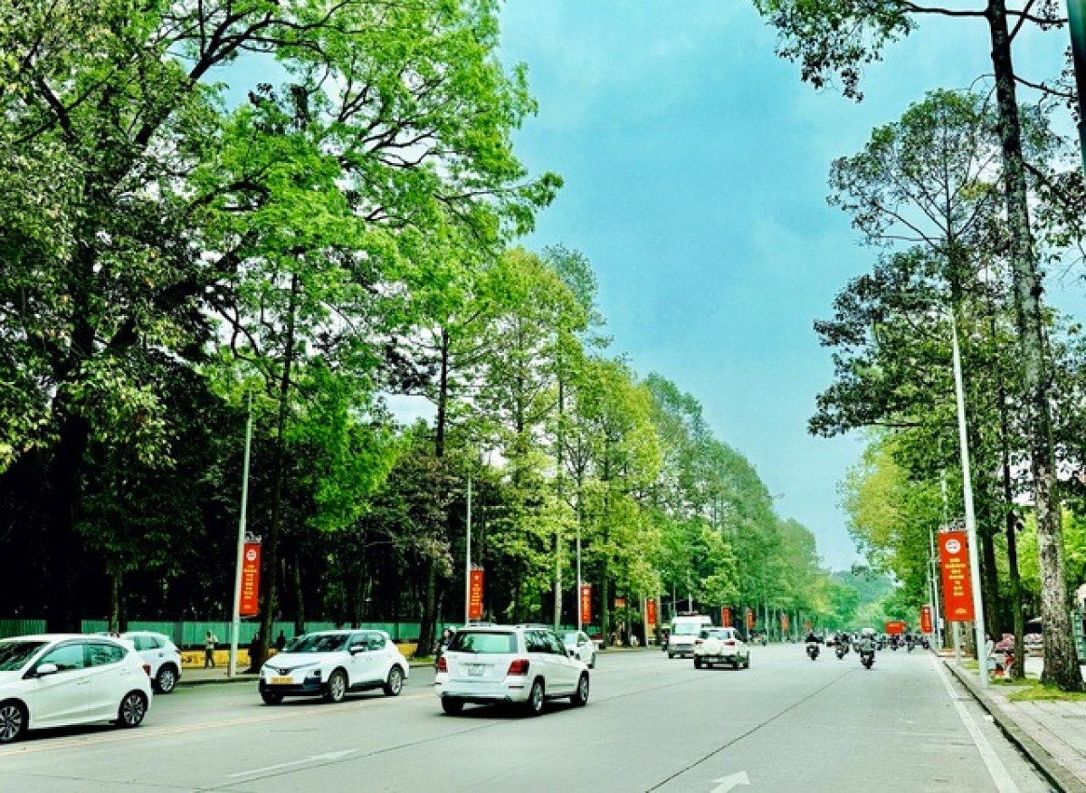 Hà Nội, những con đường rợp bóng cây xanh